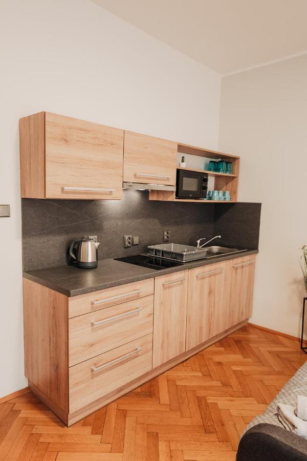Апартаменты Elegant Studio, 400M From The Square Пльзень Экстерьер фото